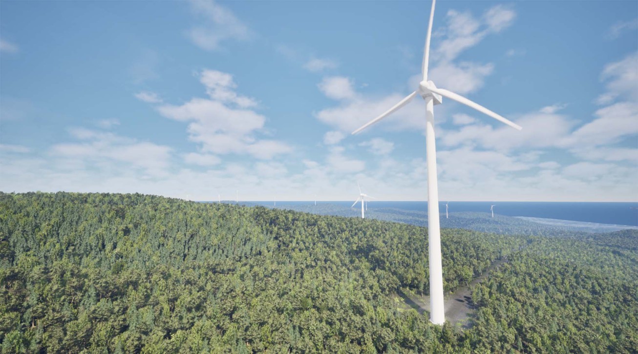 Dans une forêt près de chez vous